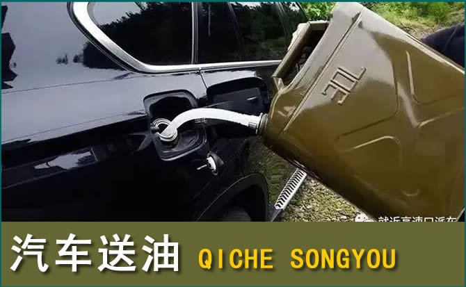 通城汽车救援送水案例